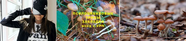ГАЛЛЮЦИНОГЕННЫЕ ГРИБЫ Мегион