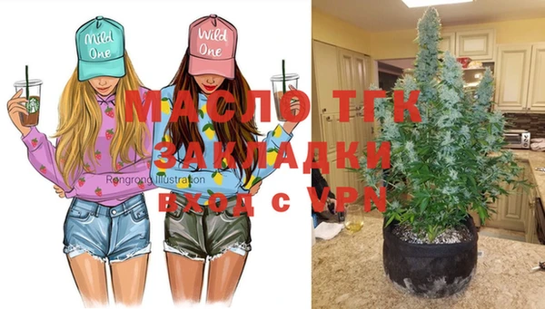 альфа пвп Медвежьегорск