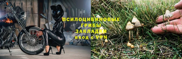 ГАЛЛЮЦИНОГЕННЫЕ ГРИБЫ Мегион