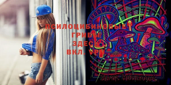 ГАЛЛЮЦИНОГЕННЫЕ ГРИБЫ Мегион