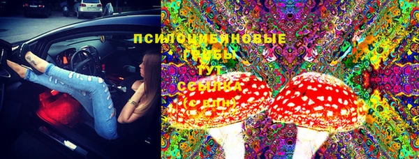 ГАЛЛЮЦИНОГЕННЫЕ ГРИБЫ Мегион