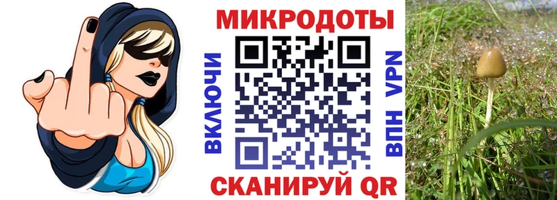 Галлюциногенные грибы Cubensis  Купить закладки  Новый Уренгой 